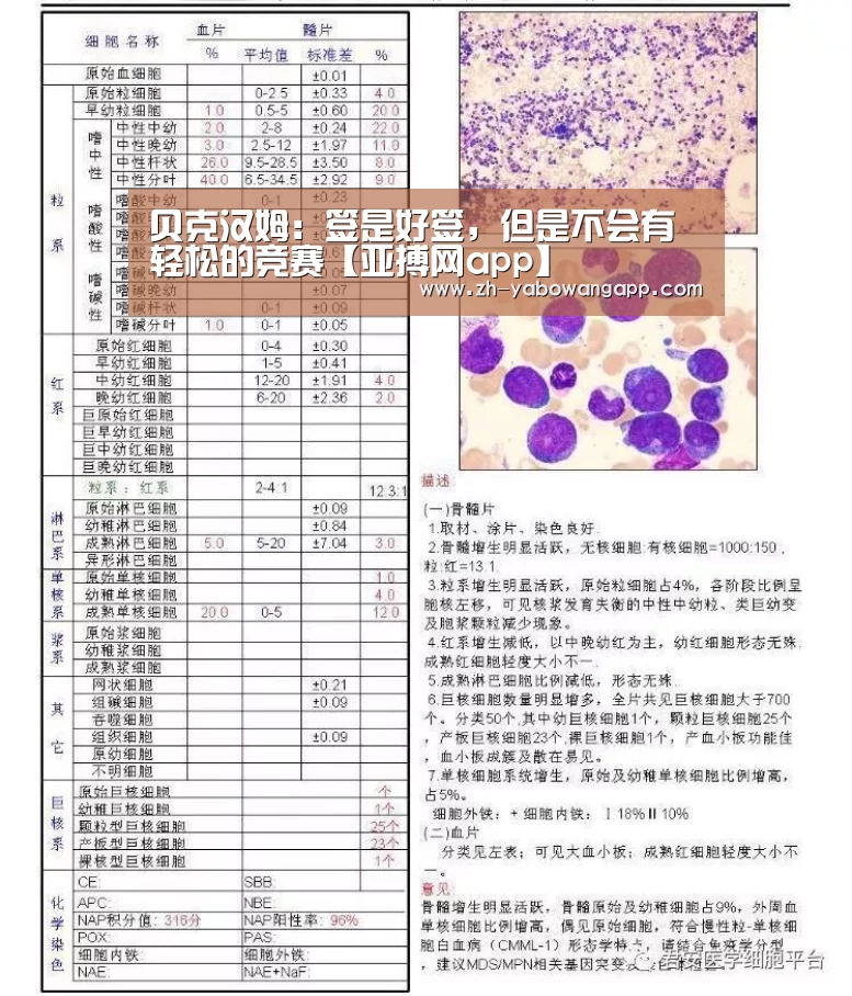 贝克汉姆:签是好签,但是不会有轻松的竞赛【亚搏网app】(图1) 亚搏网app