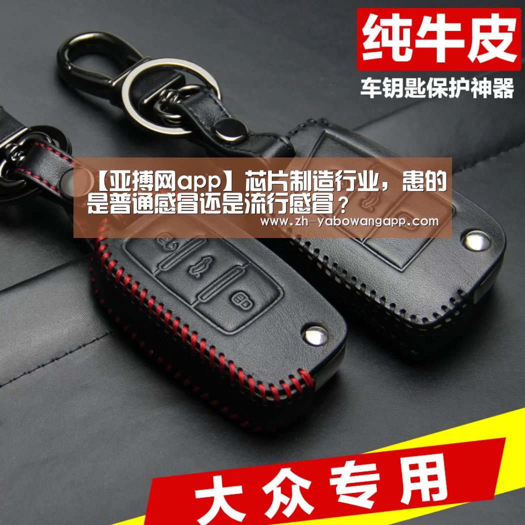 【亚搏网app】芯片制造行业,患的是普通感冒还是流行感冒?(图4) 亚搏网app