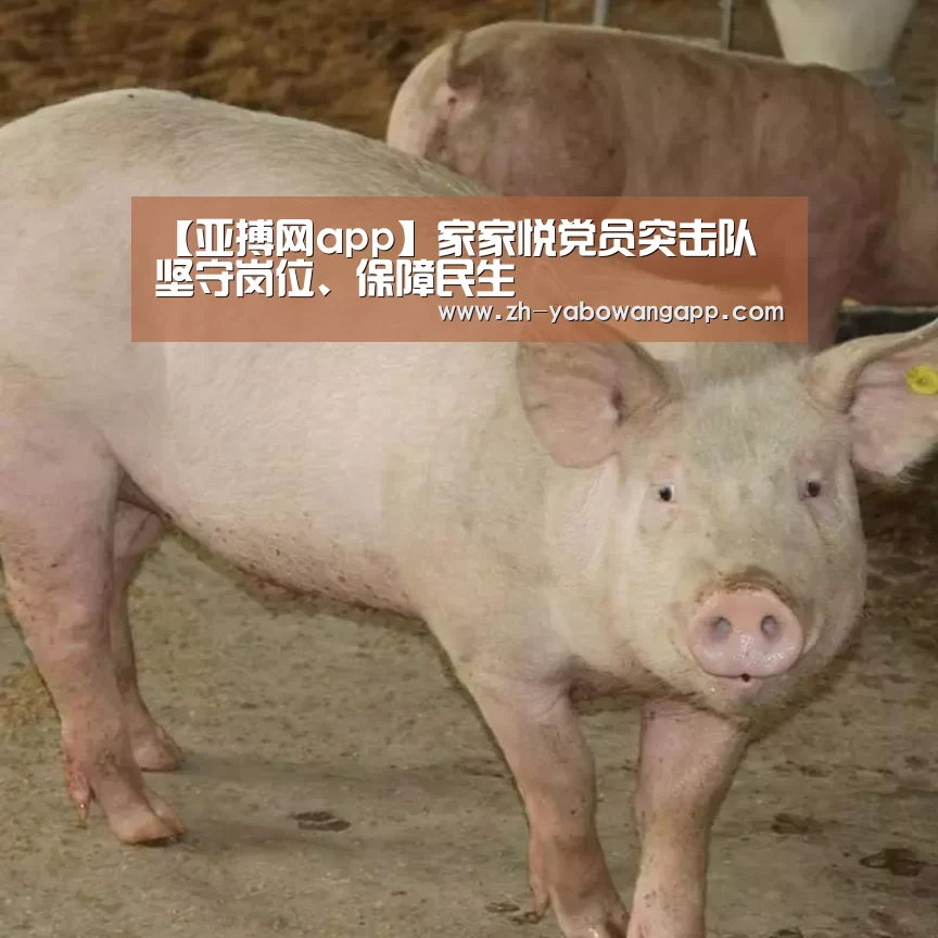 【亚搏网app】家家悦党员突击队 坚守岗位、保障民生(图1) 亚搏网app