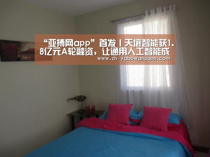 亚搏网app