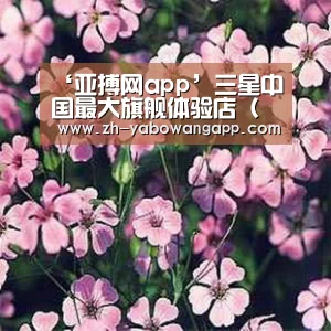 ‘亚搏网app’三星中国最大旗舰体验店(外滩)宣布暂停营业(图3) 亚搏网app