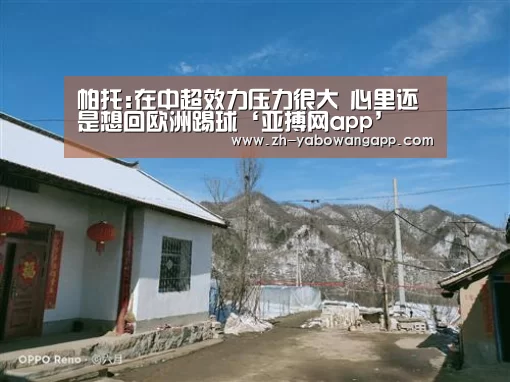 亚搏网app
