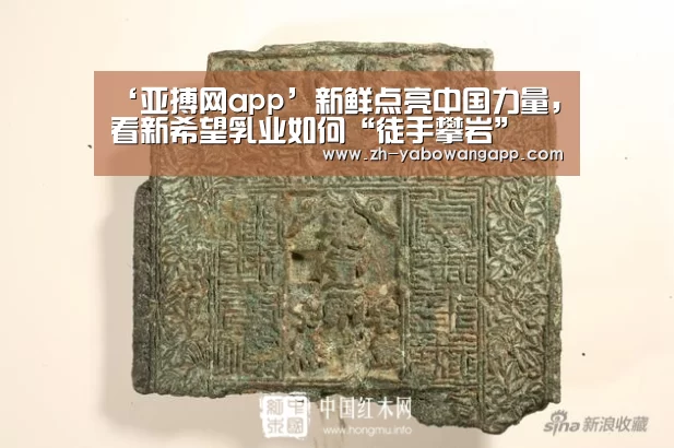 ‘亚搏网app’新鲜点亮中国力量,看新希望乳业如何“徒手攀岩”(图3) 亚搏网app