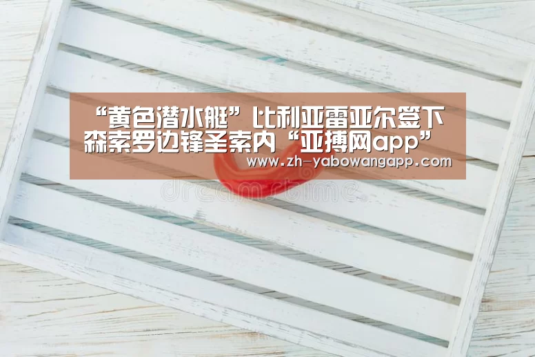亚搏网app