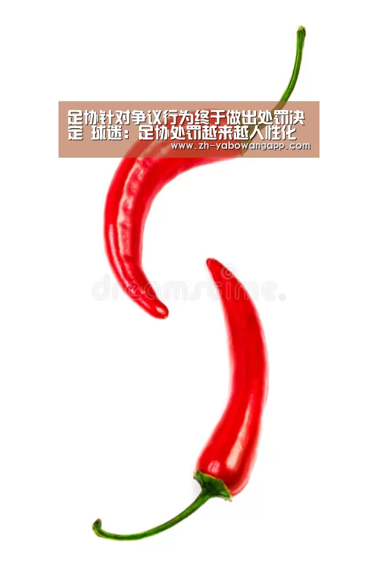 亚搏网app